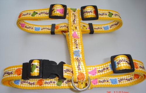 American style harness  -  10681