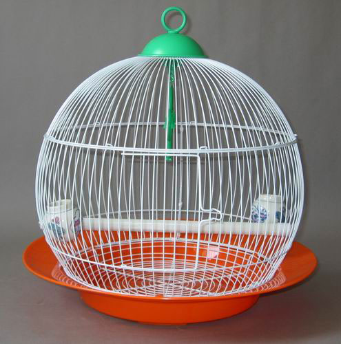 Bird Cage  -  NL012