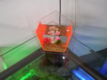 Acrylic Fish Bowl --