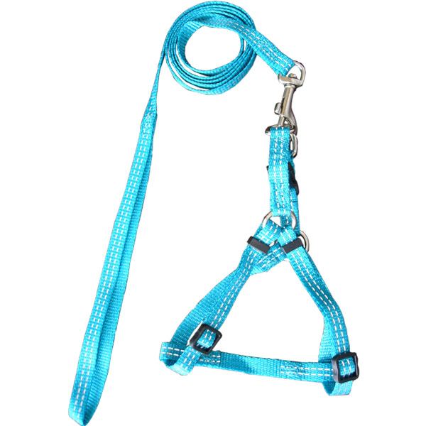 glisten leash + harness  -  10507