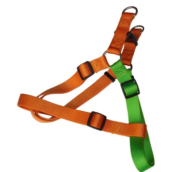 double colour harness  -  10511