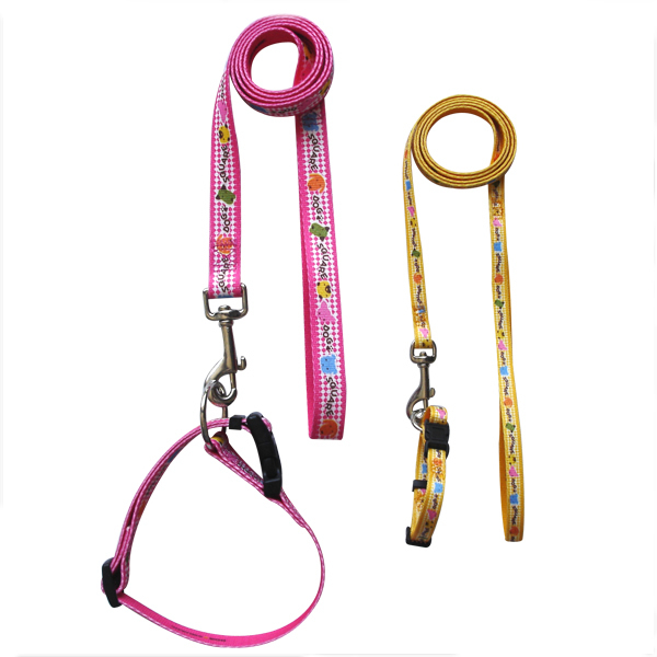 silk screen leash + collar - 10595