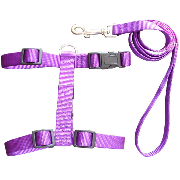 American style leash + harness -- 10652