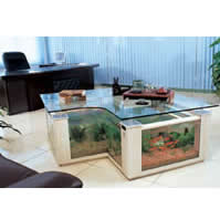 Double Square Coffee Table  -  CDS1360-A
