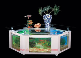 Glass Table Aquarium  -  CH11300-A