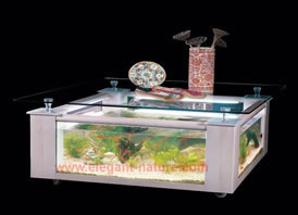 Glass Table Aquarium  -  CS Series