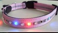 LED collar  -  10122