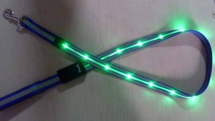 LED leash  -  10201