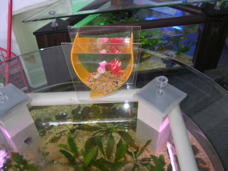 Acrylic Fish Bowl --