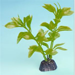 Plastic Plants  -  EP-952