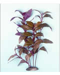 Silk Plant  -  ESP-9004B