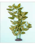 Silk Plant  -  ESP-9020