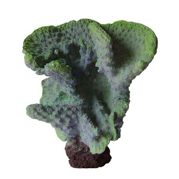Resin Ornament - Corals -- KA-325