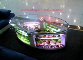Glass Table Aquarium  -  CY1380-A